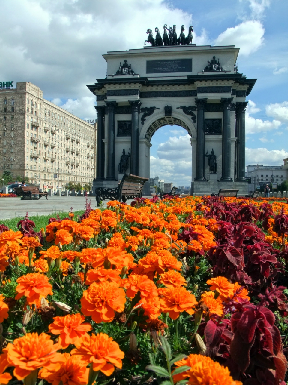 Цветы курск. Клумбы Курск Триумфальная арка. Растения Курска. В Курске клумбы. Курская цветы.