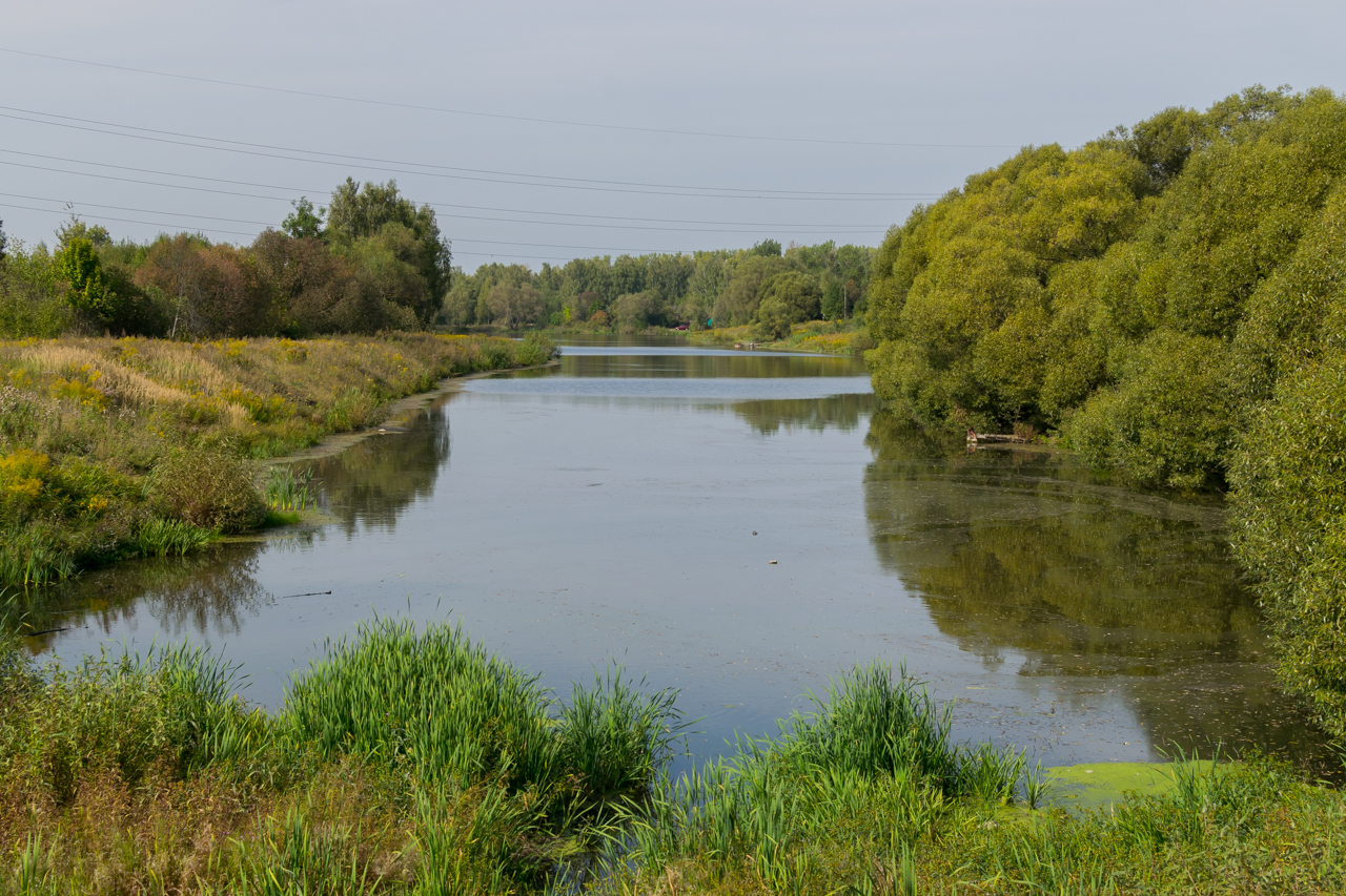Первомайский пруд Щекино